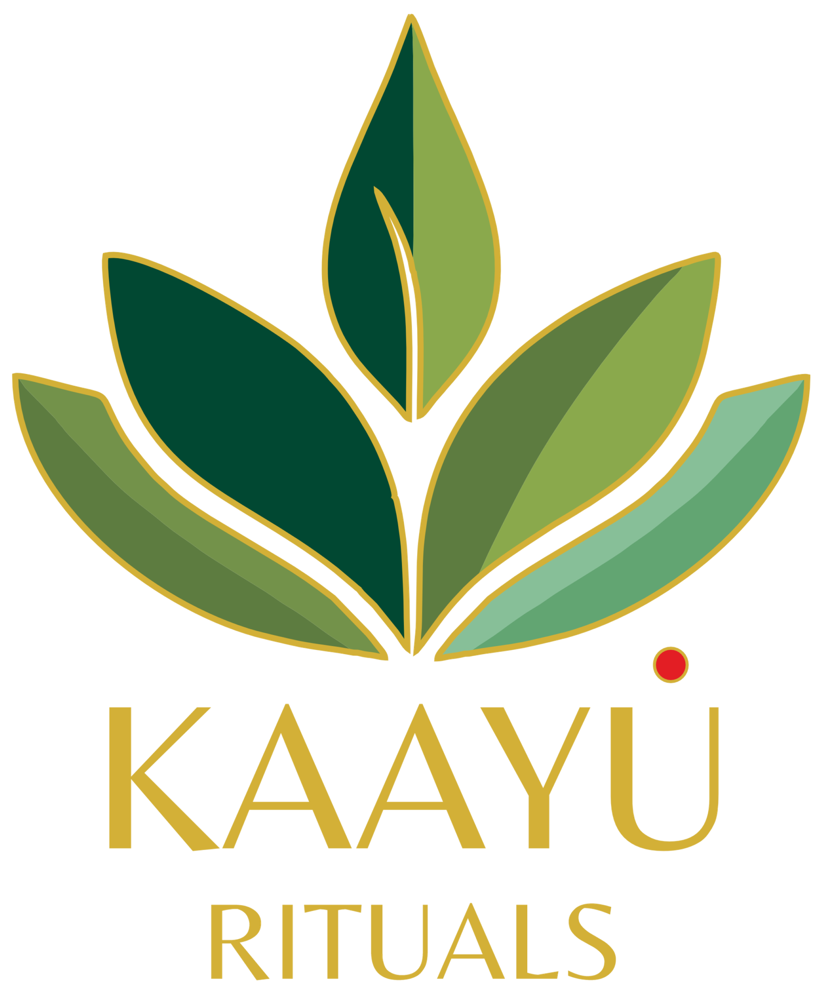 Kaayu Kaayu